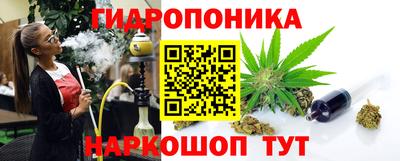крисы Краснознаменск