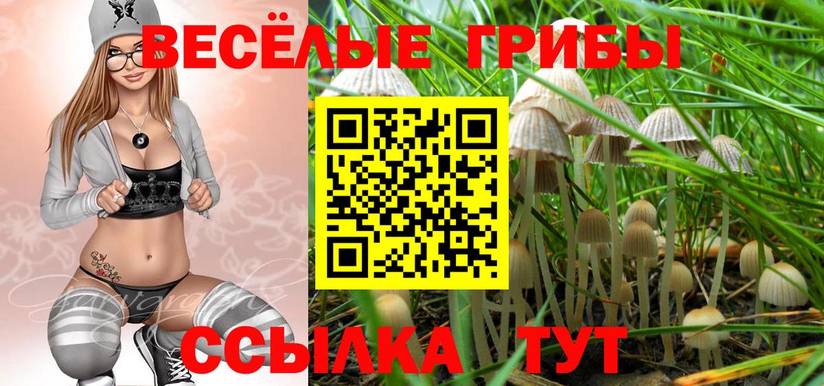 Галлюциногенные грибы мухоморы  Вход с VPN  Зима 